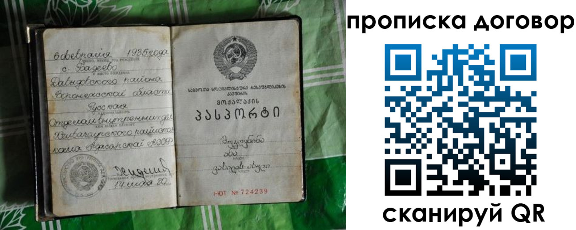прописка в Данкове